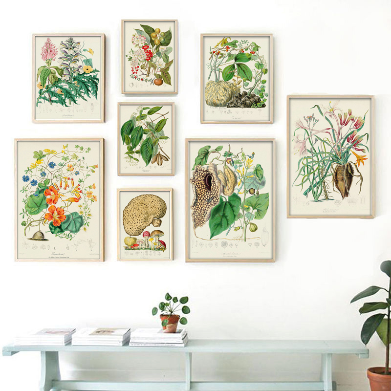 مجموعة ملصقات وطباعات نباتية ع - مراجعة Vintage Collectible Posters وسعره